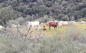 אירוח כפרי במנות